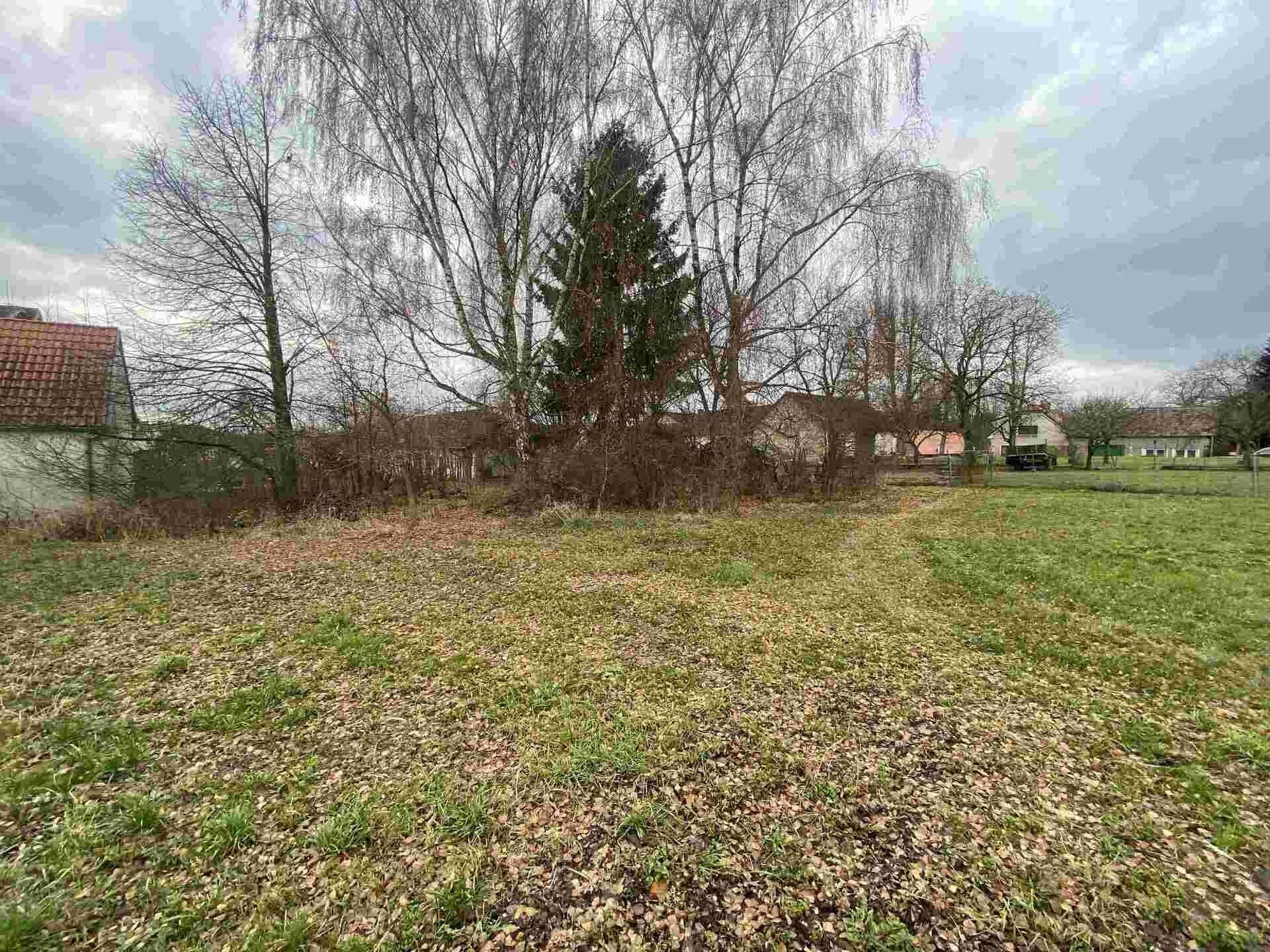 Prodej nemovitosti 1427 m² - foto 7