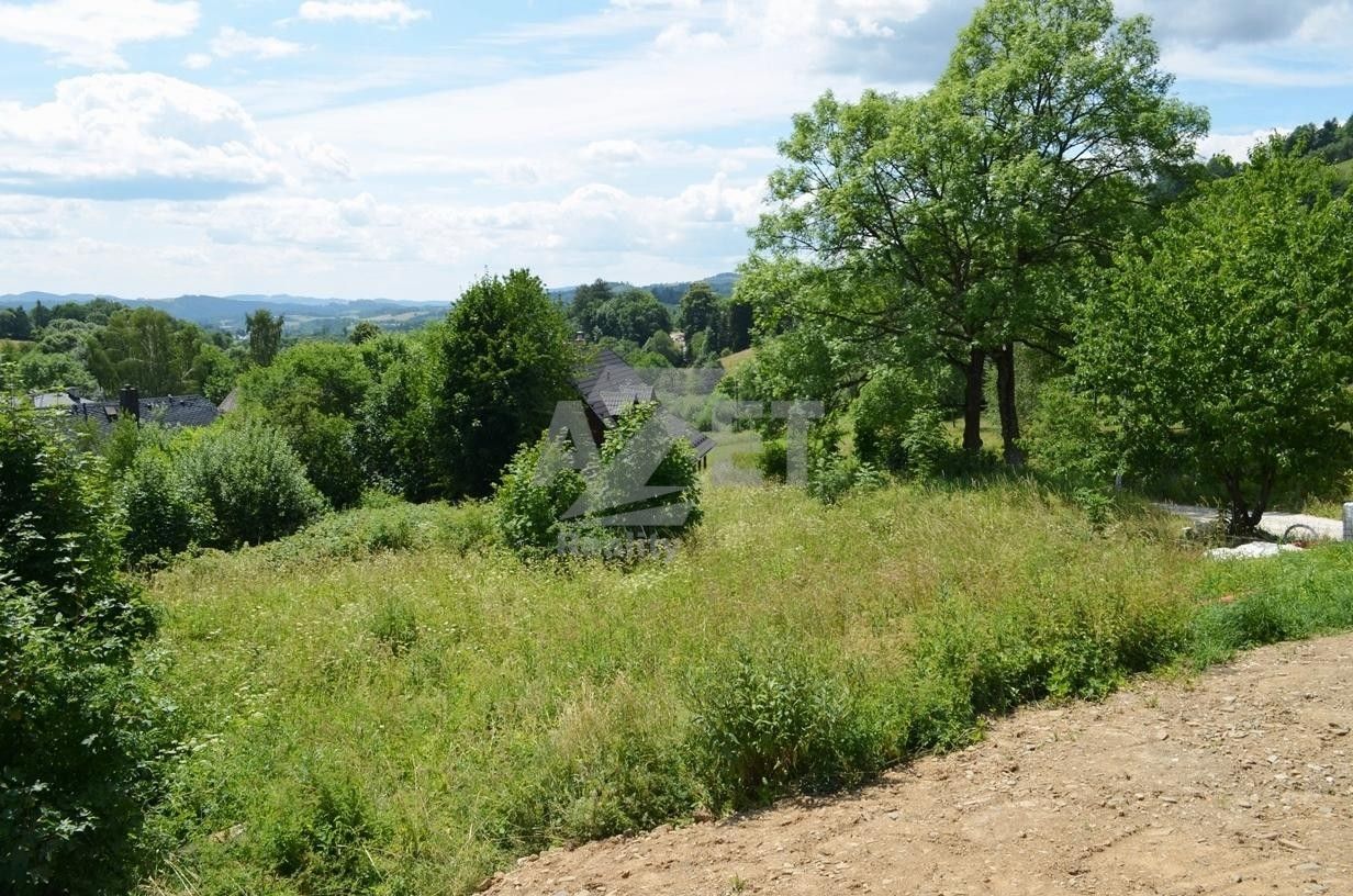 Prodej nemovitosti 1500 m² - foto 6