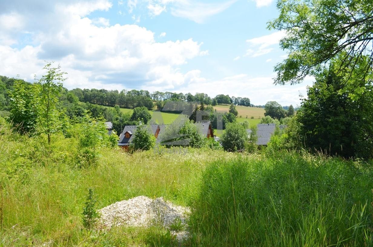 Prodej nemovitosti 1500 m² - foto 2