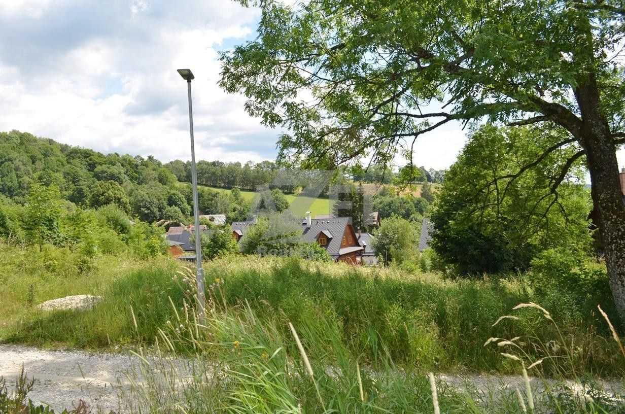 Prodej nemovitosti 1500 m² - foto 4