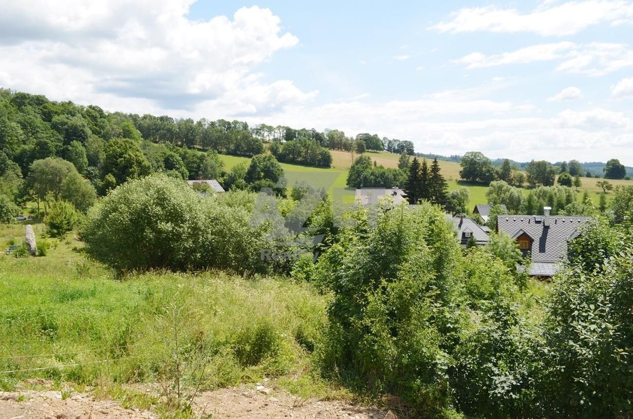 Prodej nemovitosti 1500 m² - foto 8