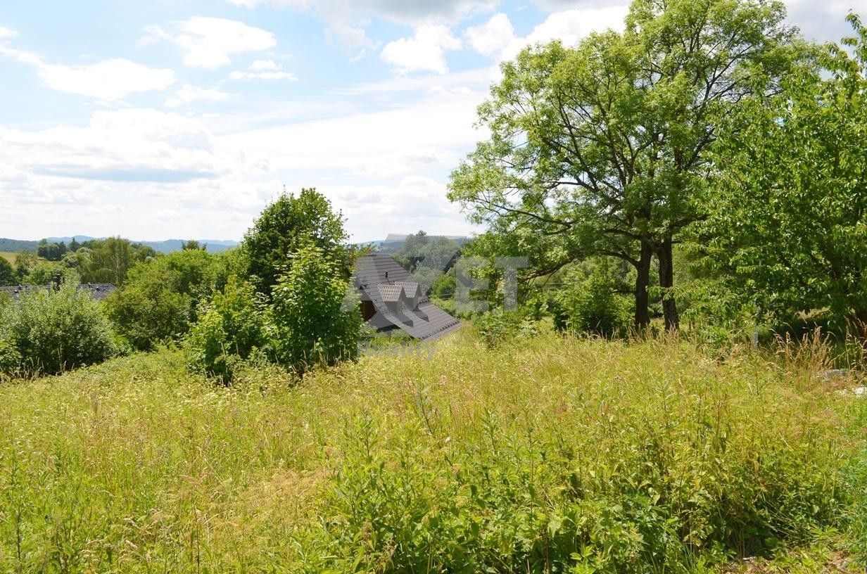 Prodej nemovitosti 1500 m² - foto 11