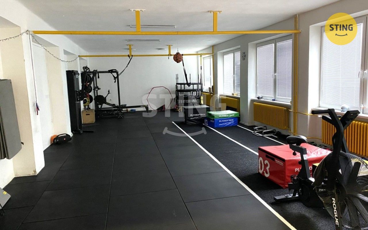 Pronájem nemovitosti 116 m² - foto 1