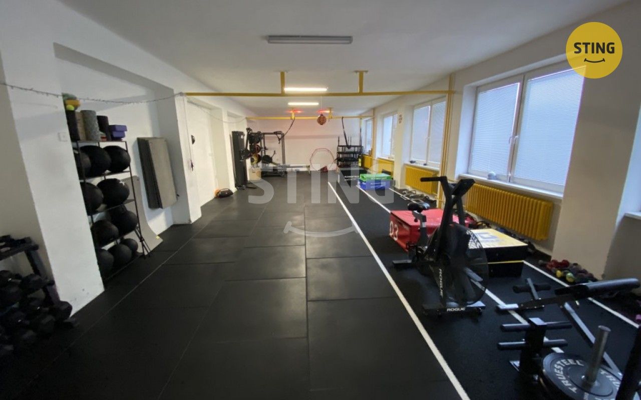 Pronájem nemovitosti 116 m² - foto 4
