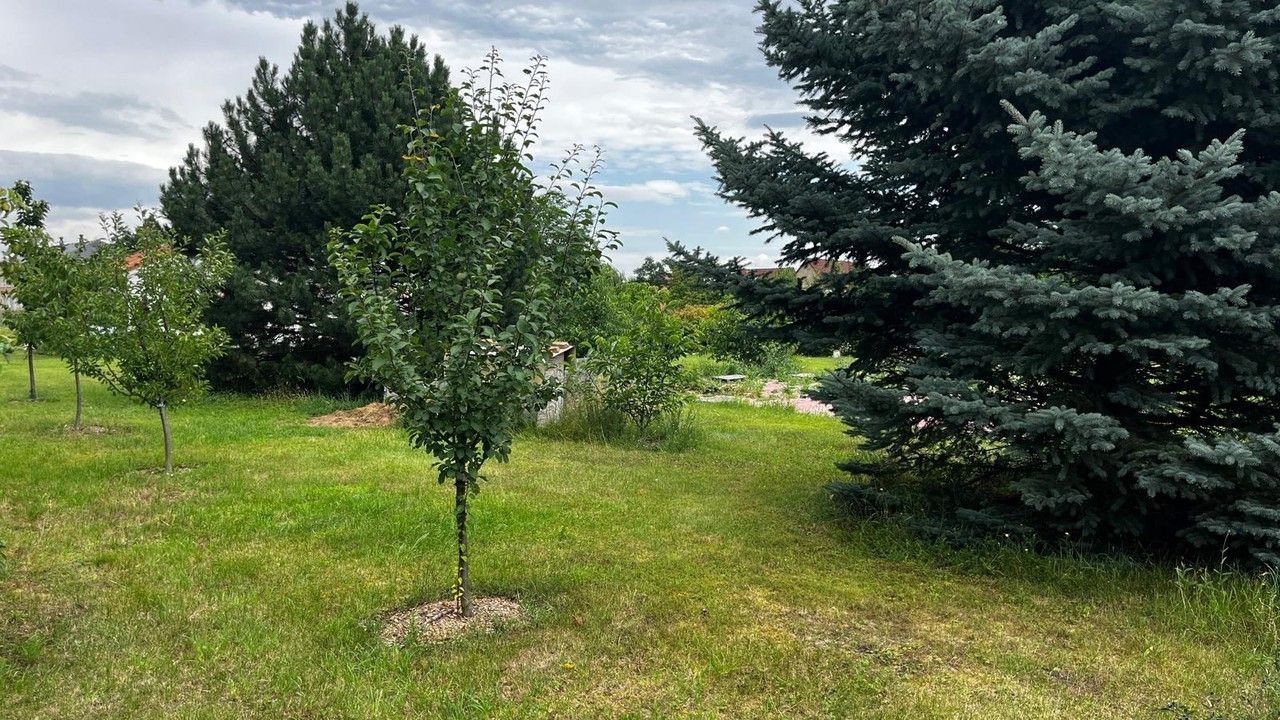 Prodej pozemku 1727 m² - foto 5