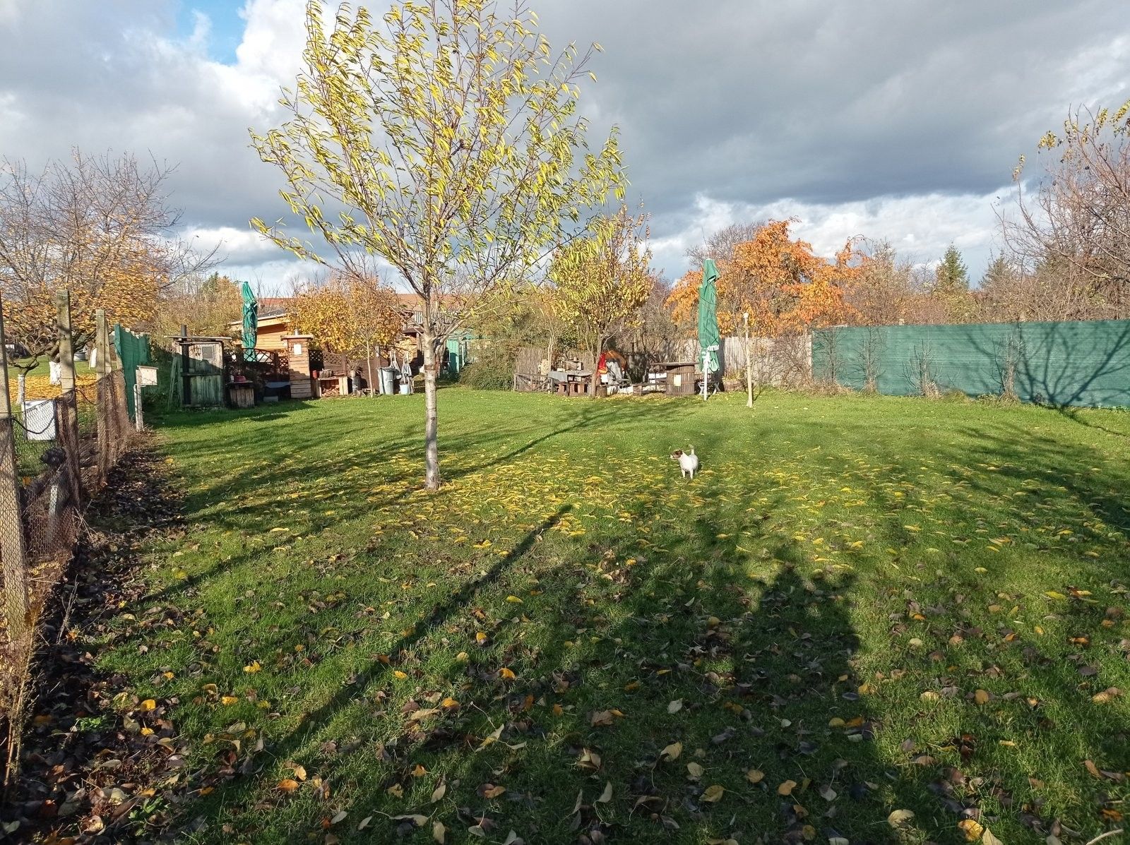 Prodej pozemku 1285 m² - foto 4