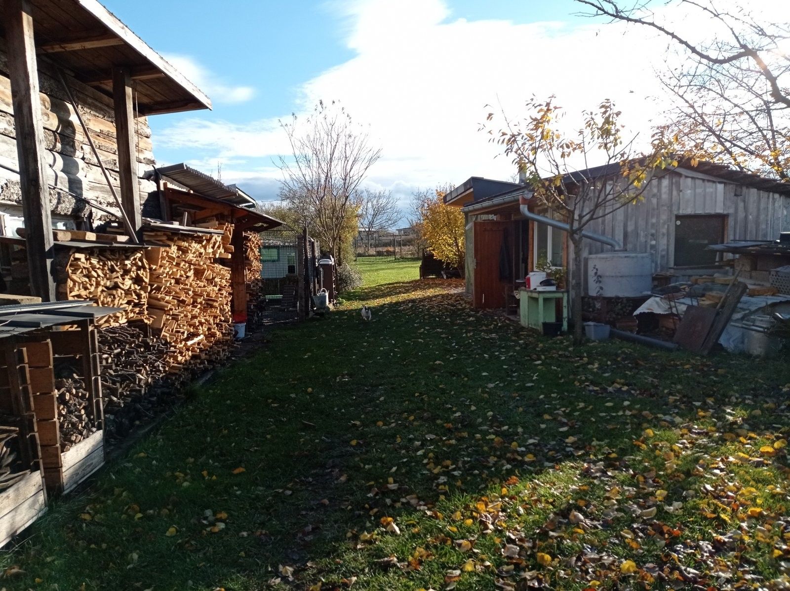 Prodej pozemku 1285 m² - foto 12