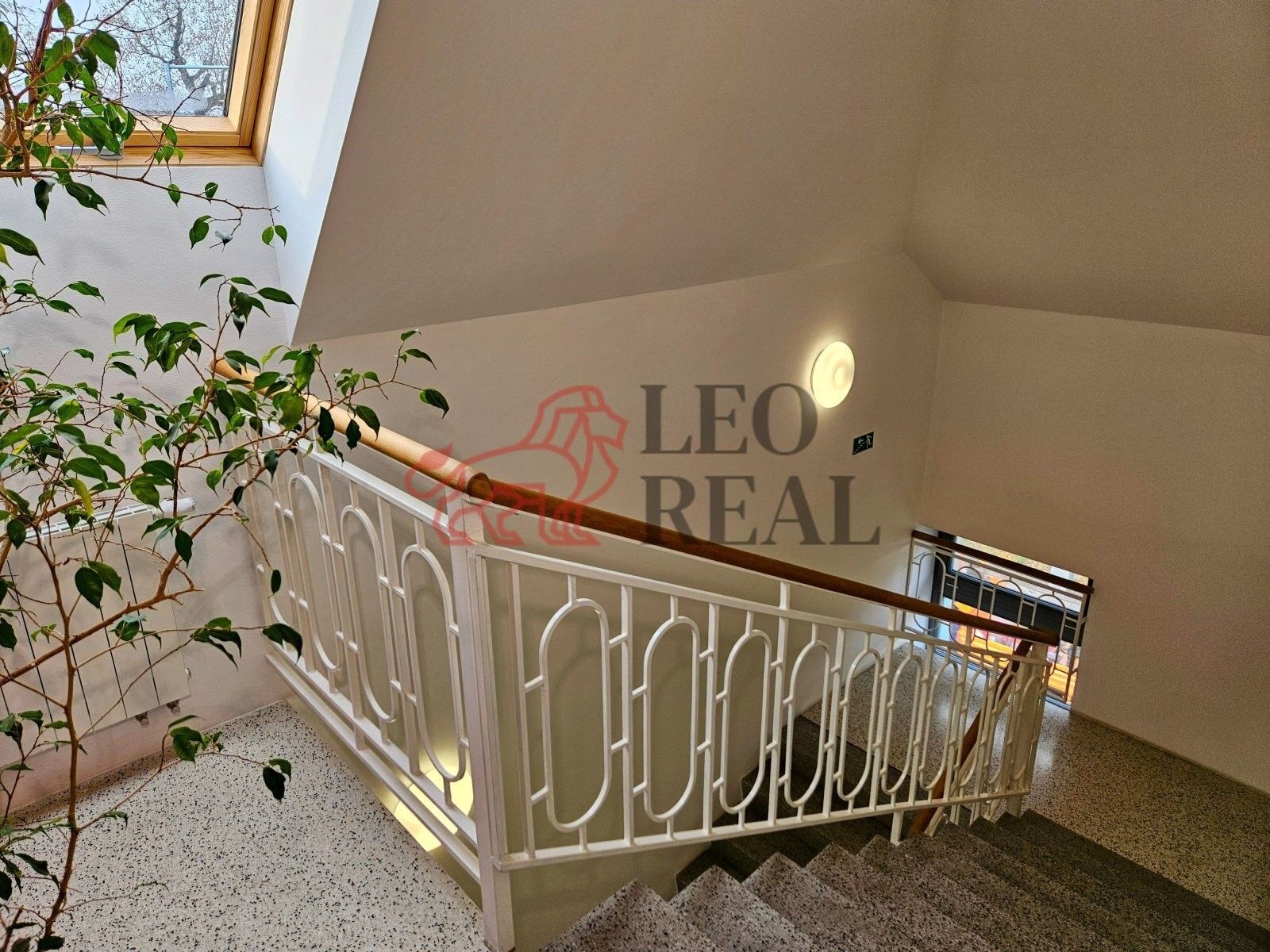 Pronájem komerčního prostoru 66 m² - foto 9