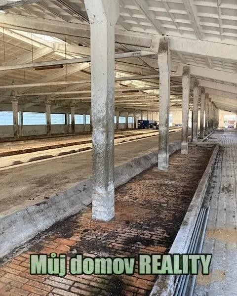 Pronájem komerčního prostoru 1700 m² - foto 4