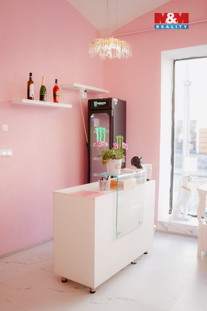 Prodej komerčního prostoru 65 m² - foto 15