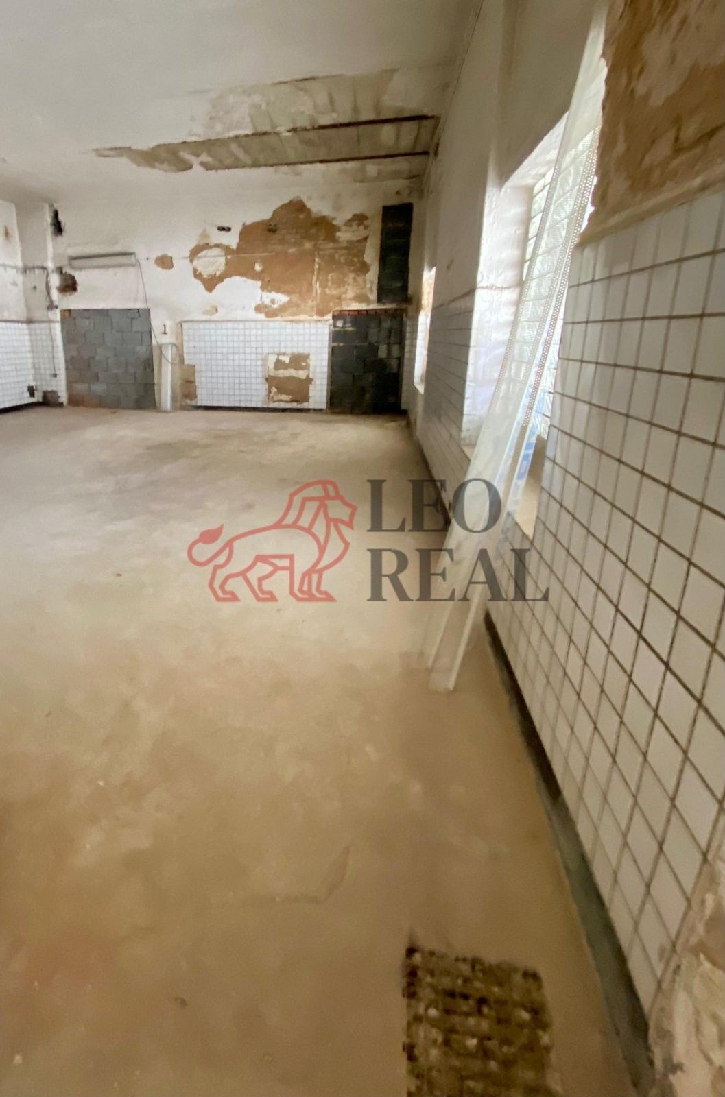 Pronájem nemovitosti 60 m² - foto 2