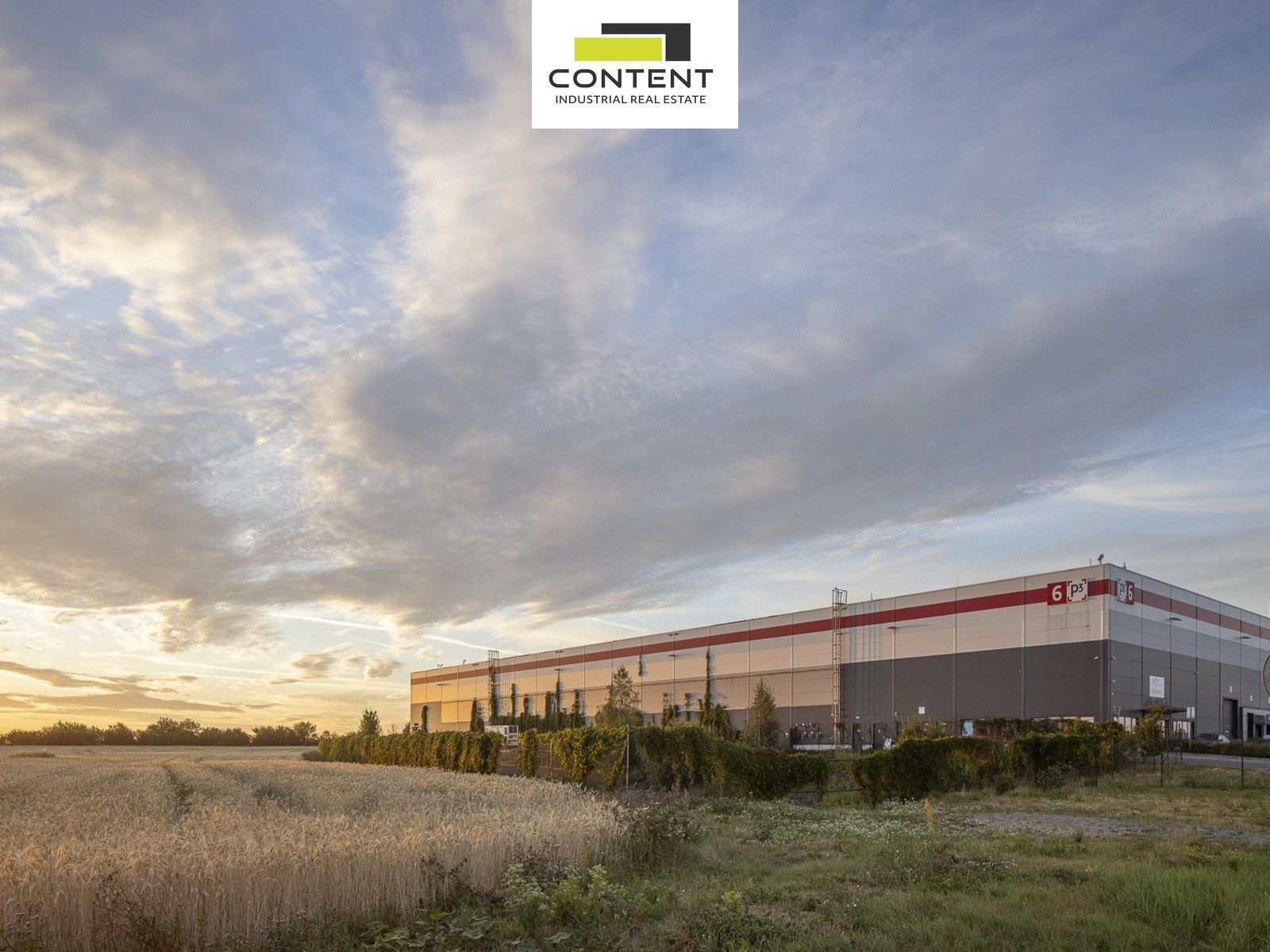 Pronájem komerčního prostoru 5000 m² - foto 3