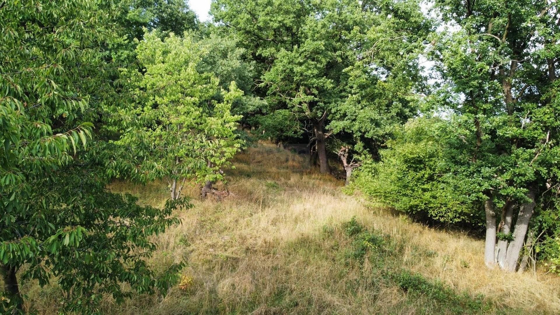 Prodej nemovitosti 26115 m² - foto 10