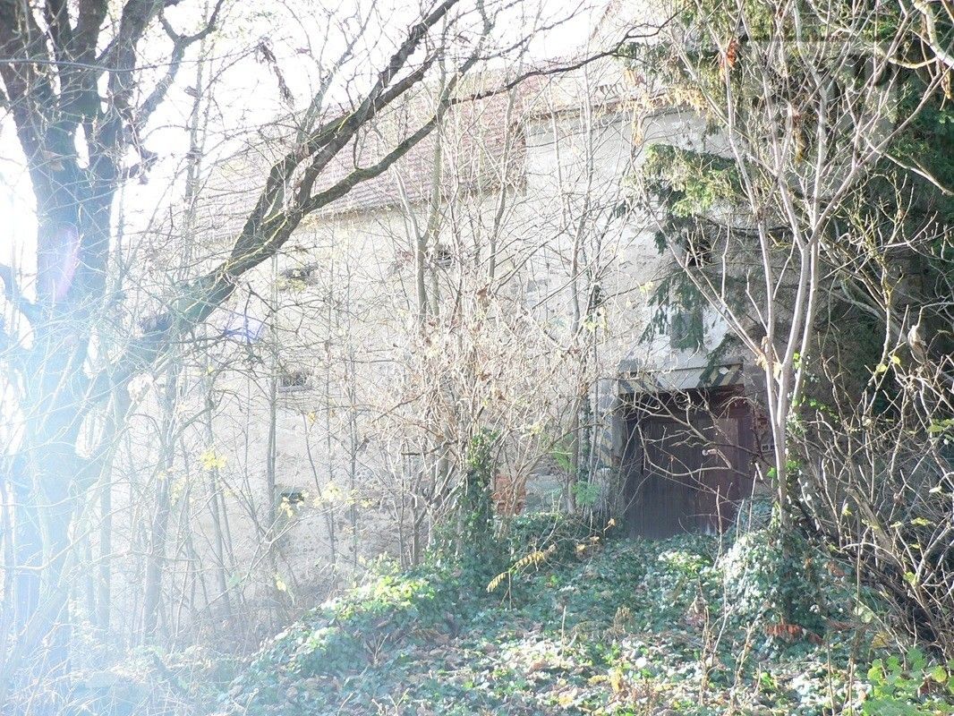 Prodej nemovitosti 4000 m² - foto 5
