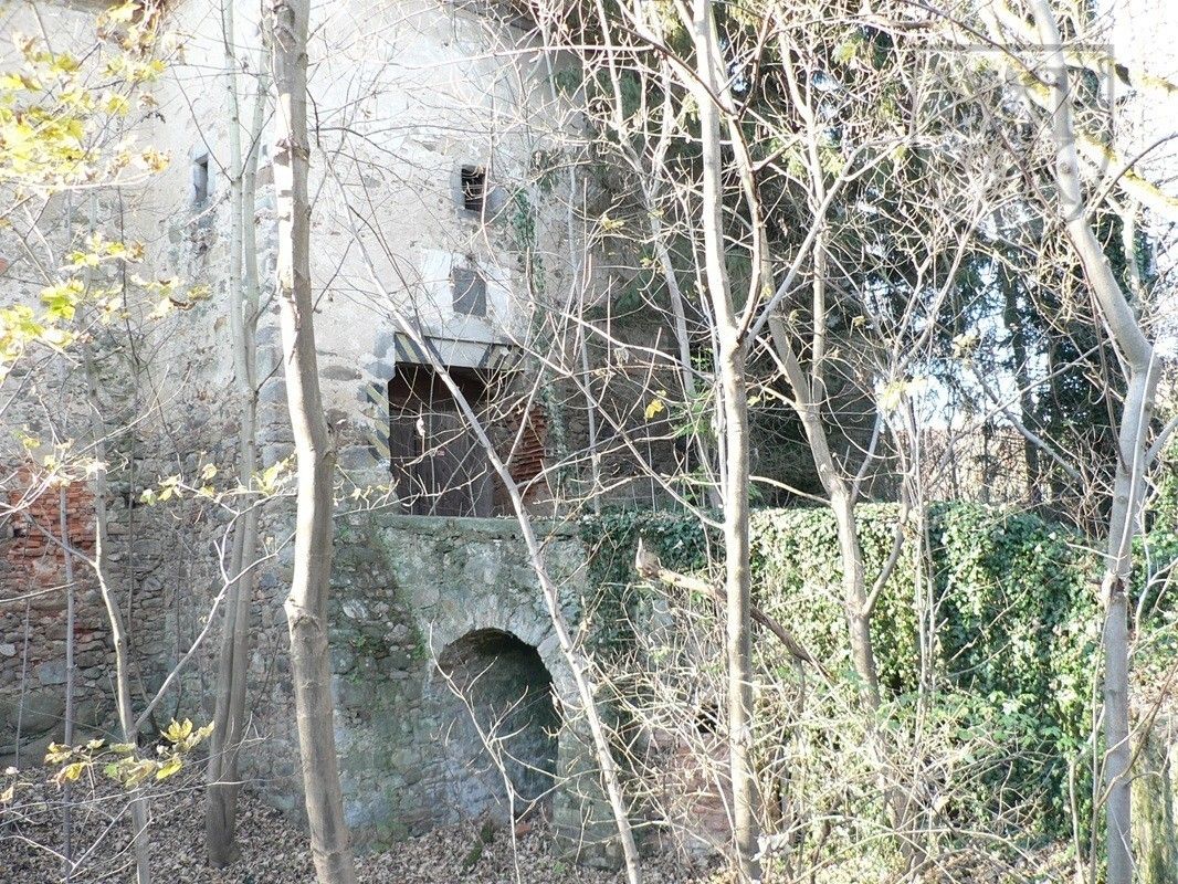 Prodej nemovitosti 4000 m² - foto 6