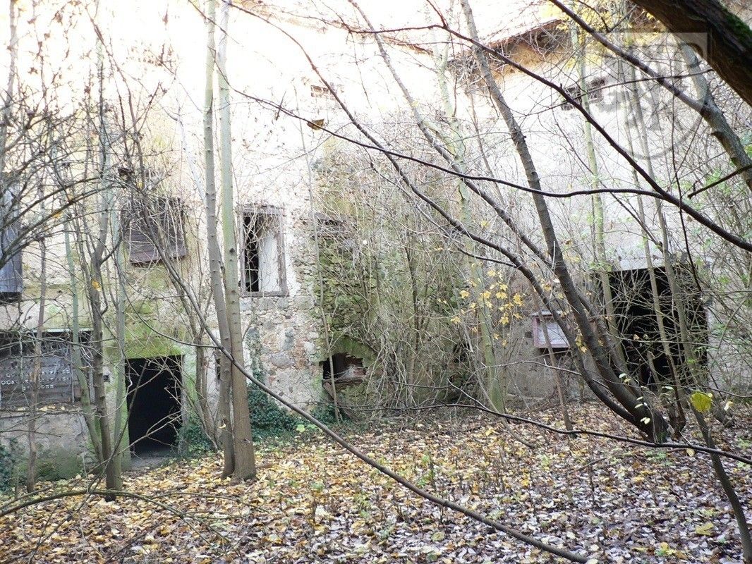Prodej nemovitosti 4000 m² - foto 7