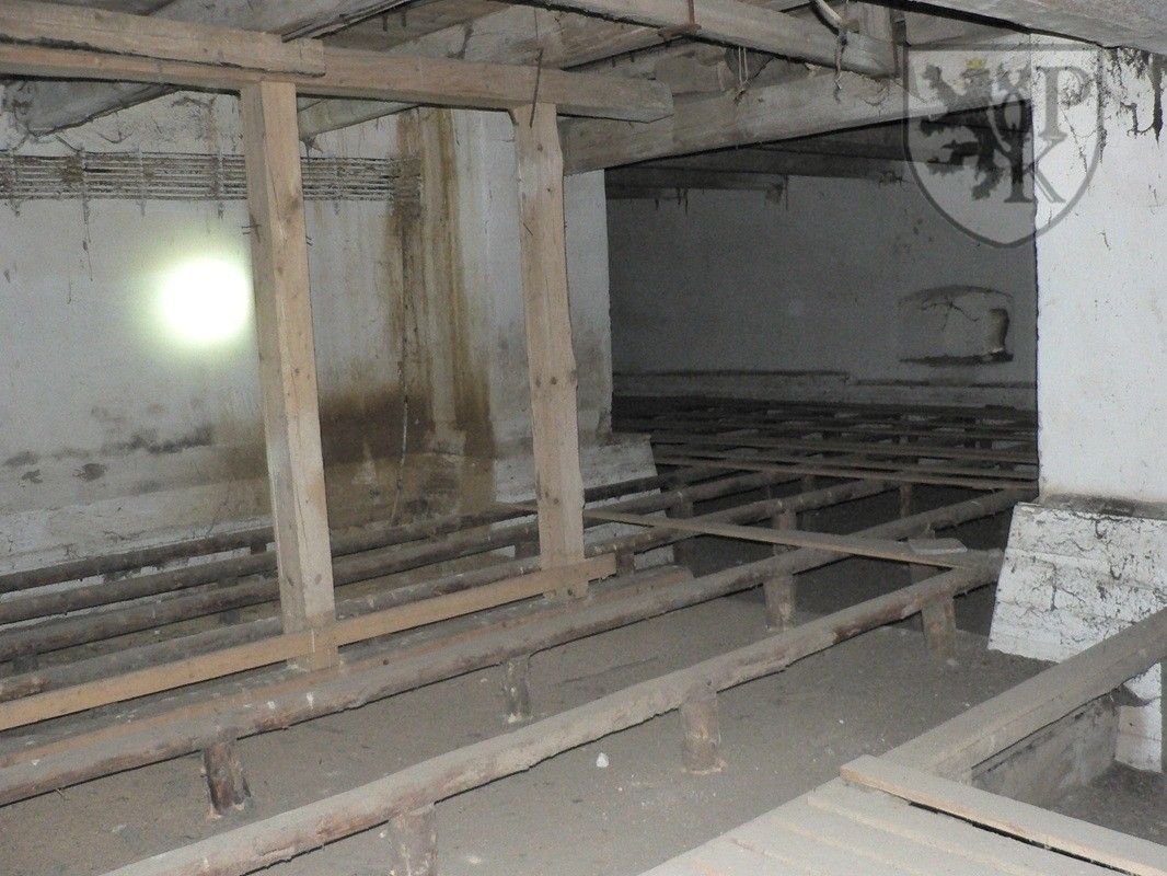 Prodej nemovitosti 4000 m² - foto 9