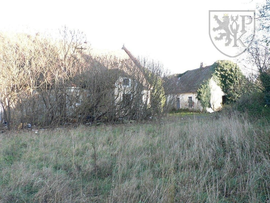 Prodej nemovitosti 4000 m² - foto 17