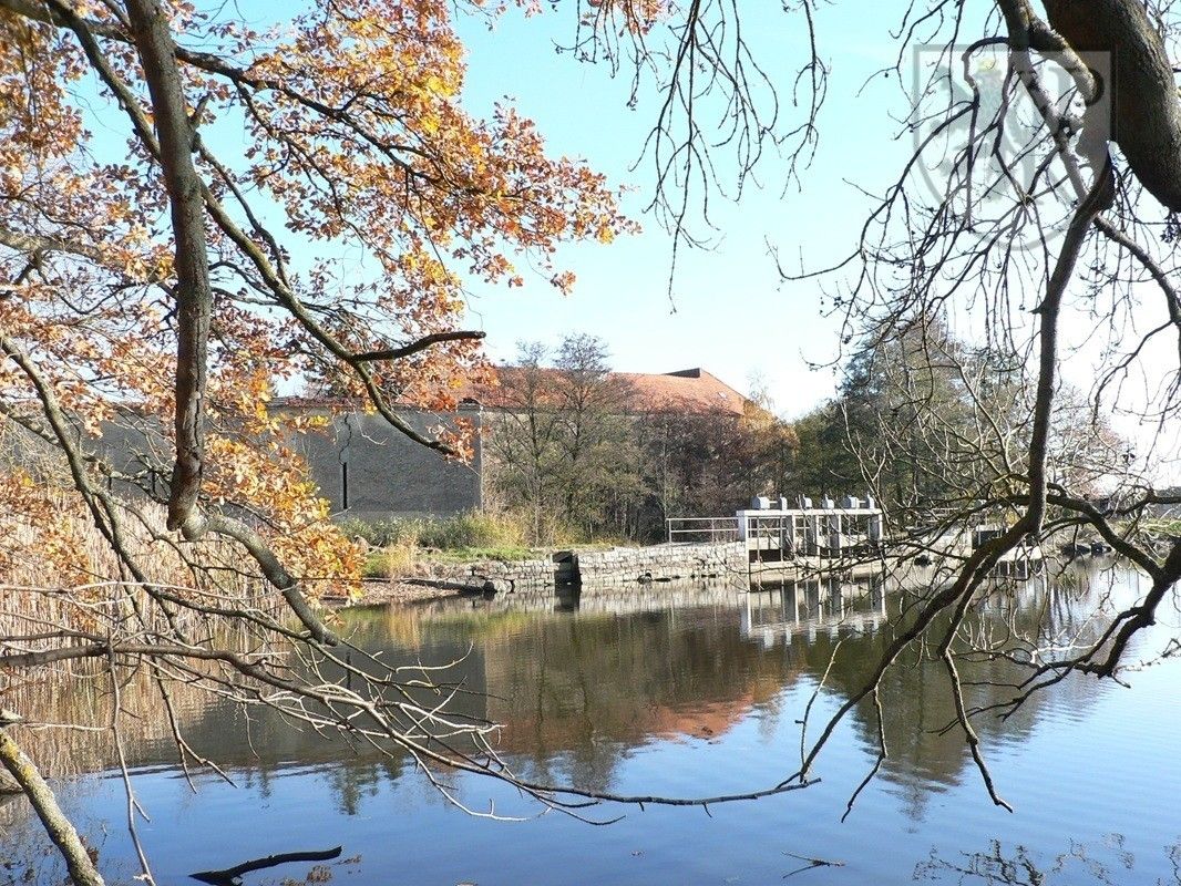 Prodej nemovitosti 4000 m² - foto 19