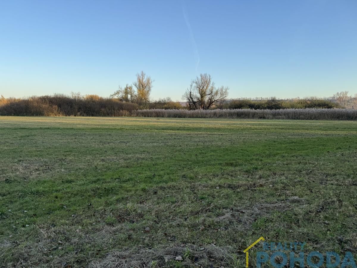 Prodej pozemku 8305 m² - foto 9