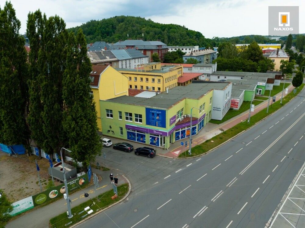 Pronájem komerčního prostoru 876 m² - foto 3