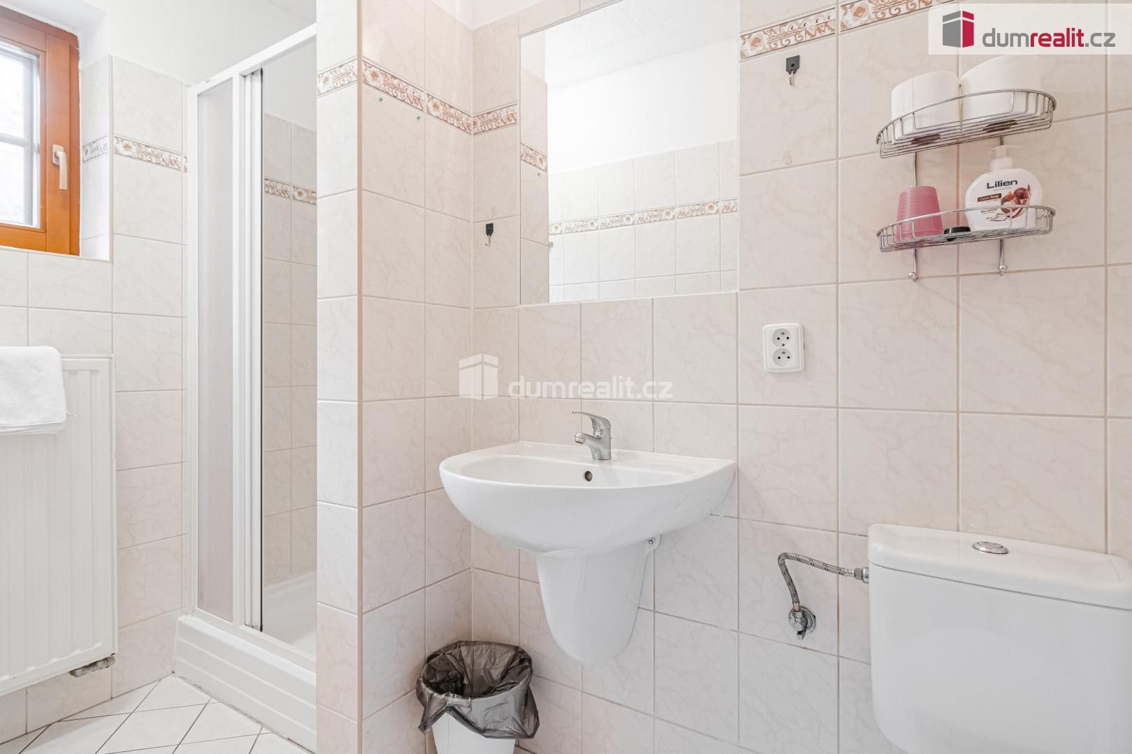 Prodej komerčního prostoru 350 m² - foto 21