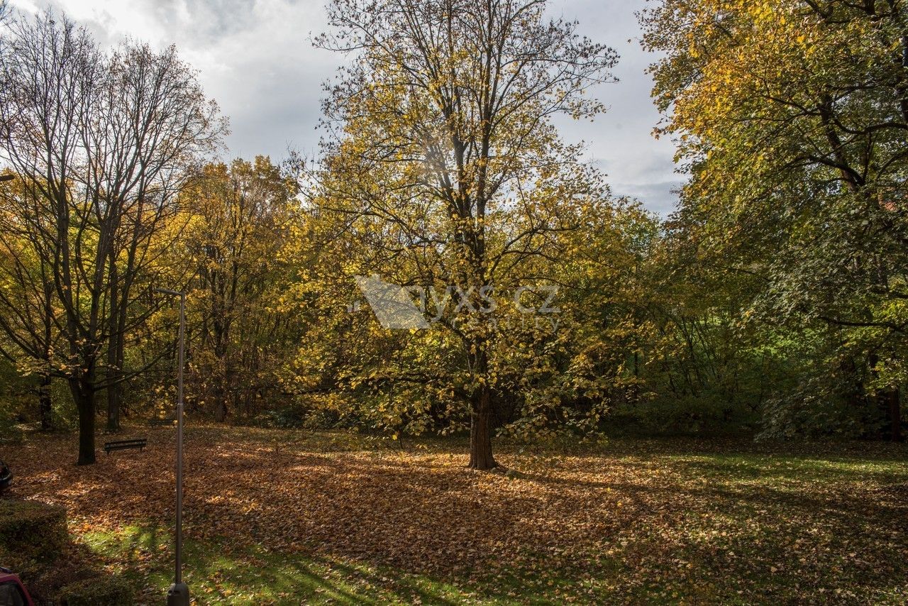 Pronájem bytu 2+1 50 m² - foto 13