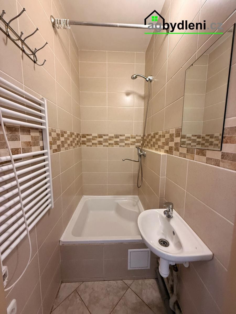 Pronájem bytu 2+1 60 m² - foto 8