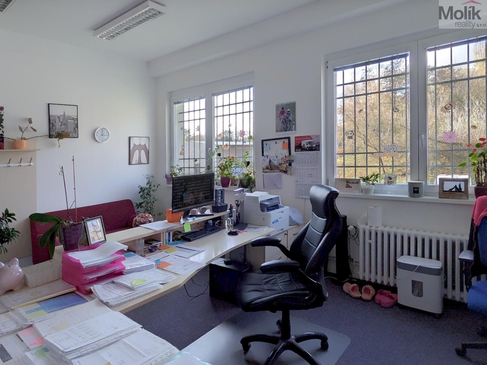 Pronájem komerčního prostoru 18 m² - foto 5
