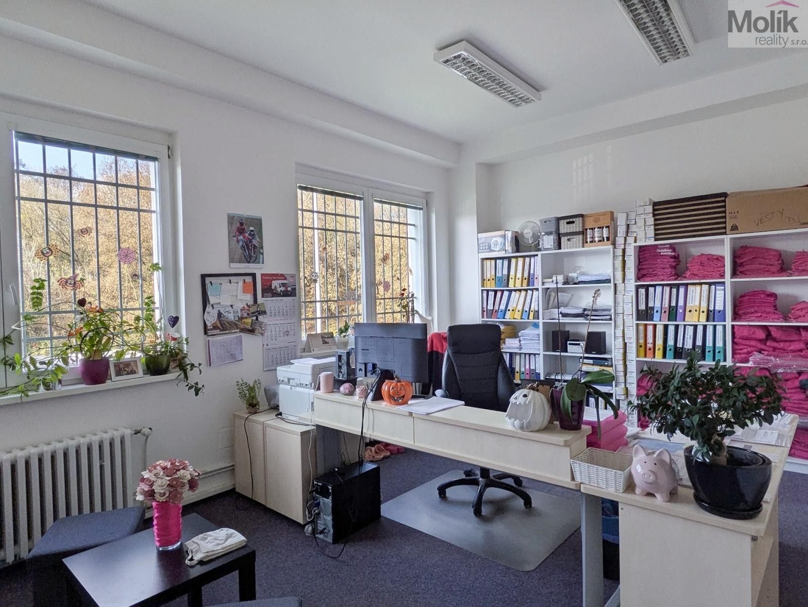 Pronájem komerčního prostoru 18 m² - foto 4
