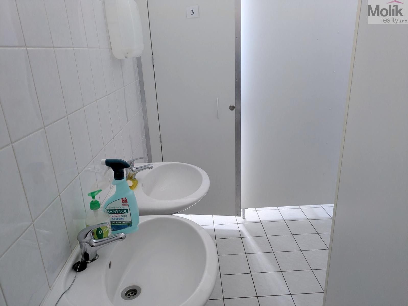 Pronájem komerčního prostoru 18 m² - foto 15
