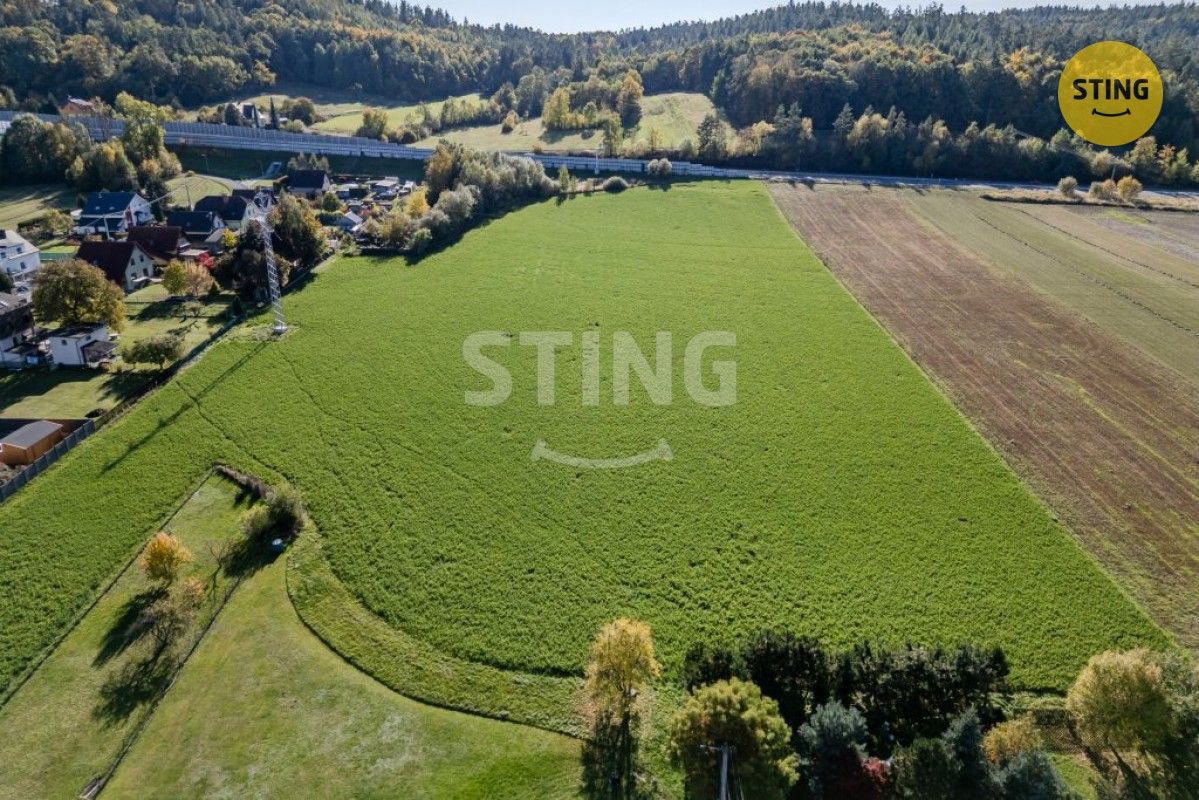 Prodej pozemku 4000 m² - foto 5