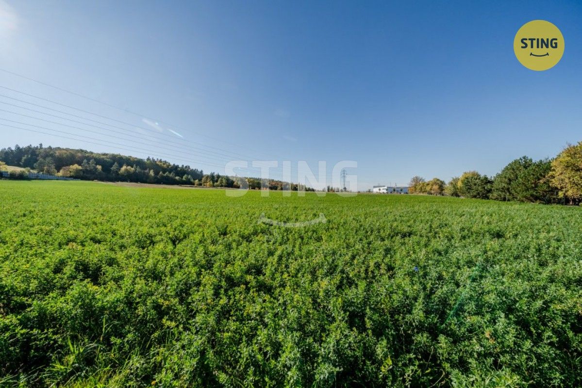 Prodej pozemku 4000 m² - foto 11
