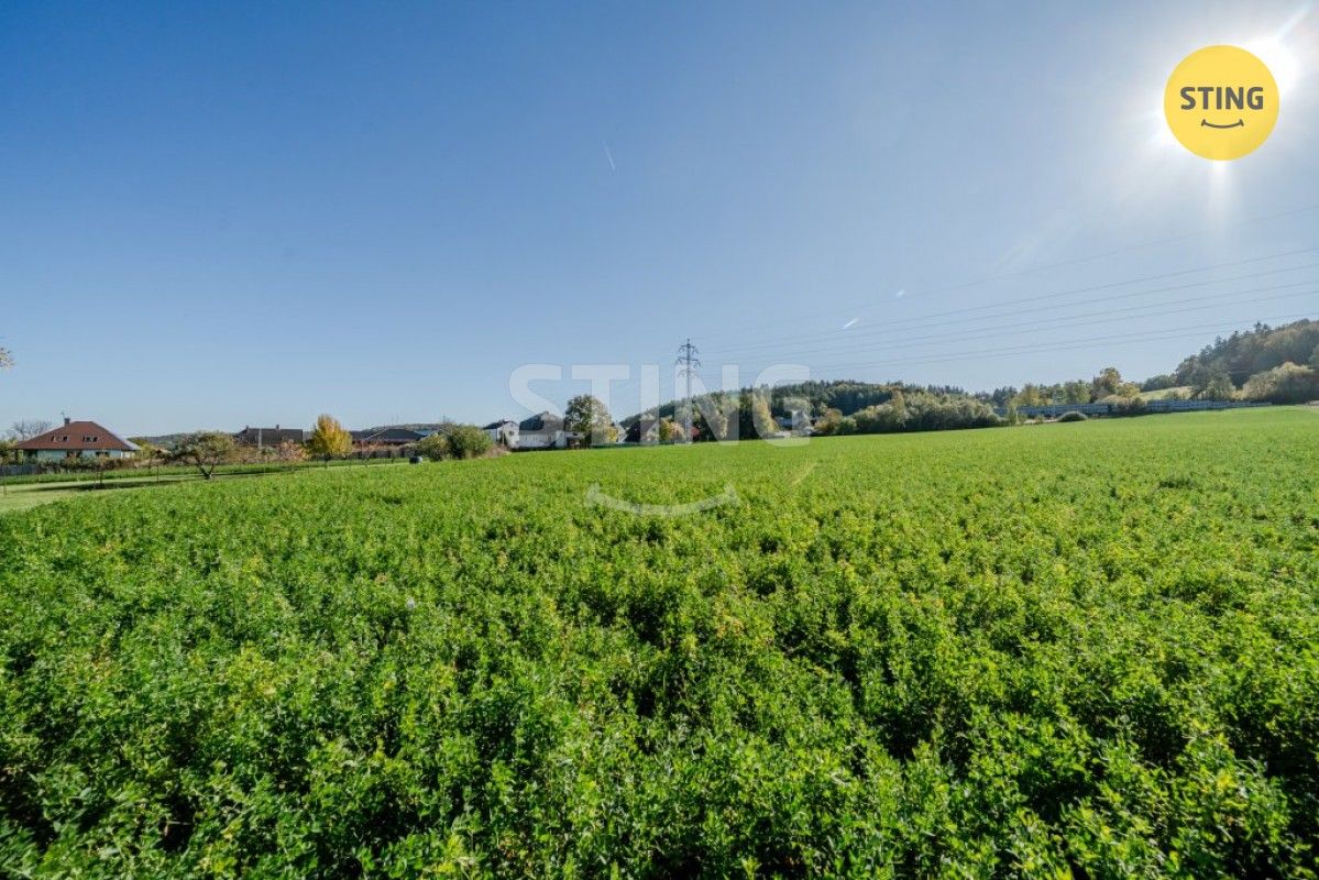 Prodej pozemku 4000 m² - foto 12