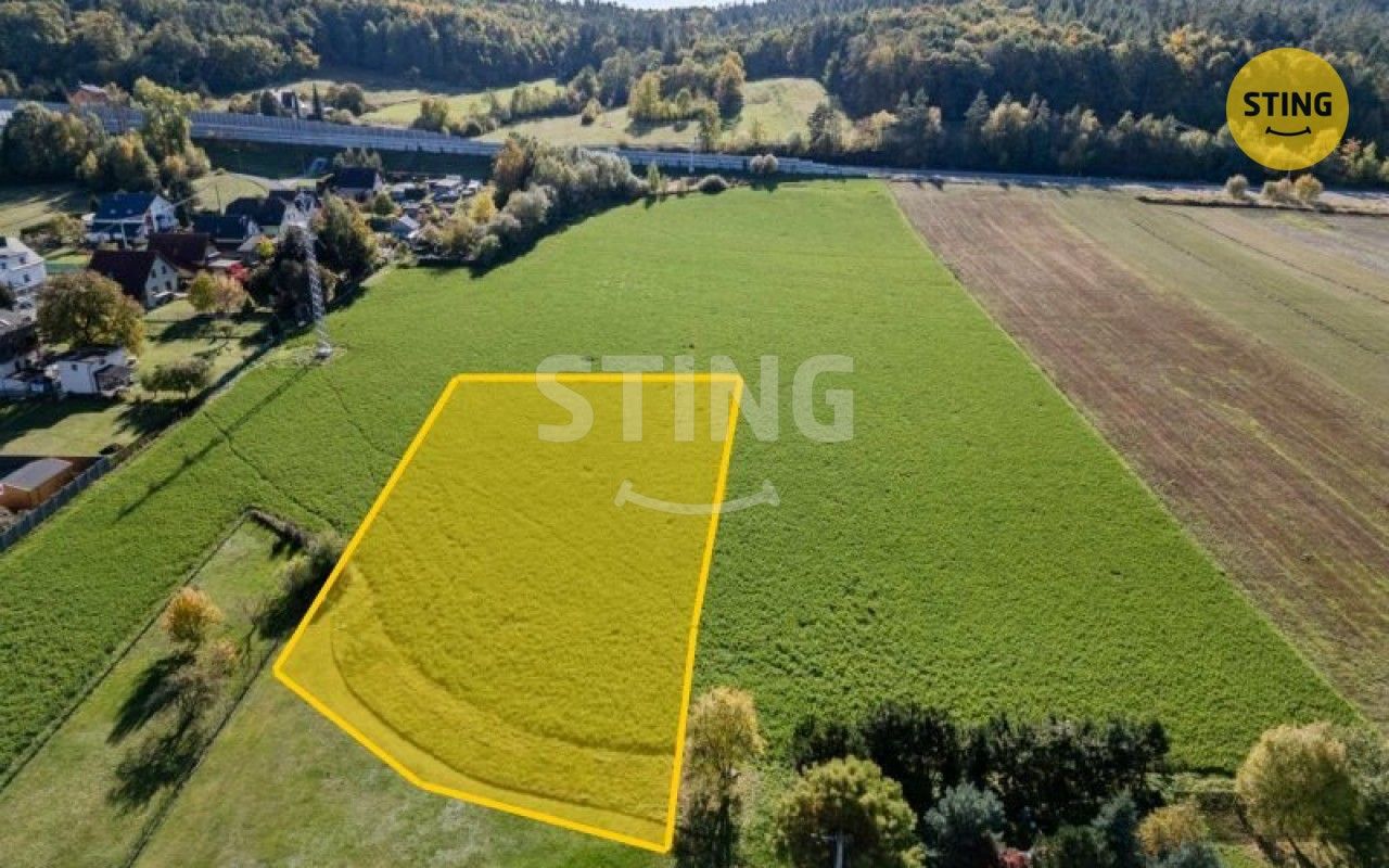 Prodej pozemku 4000 m² - foto 2