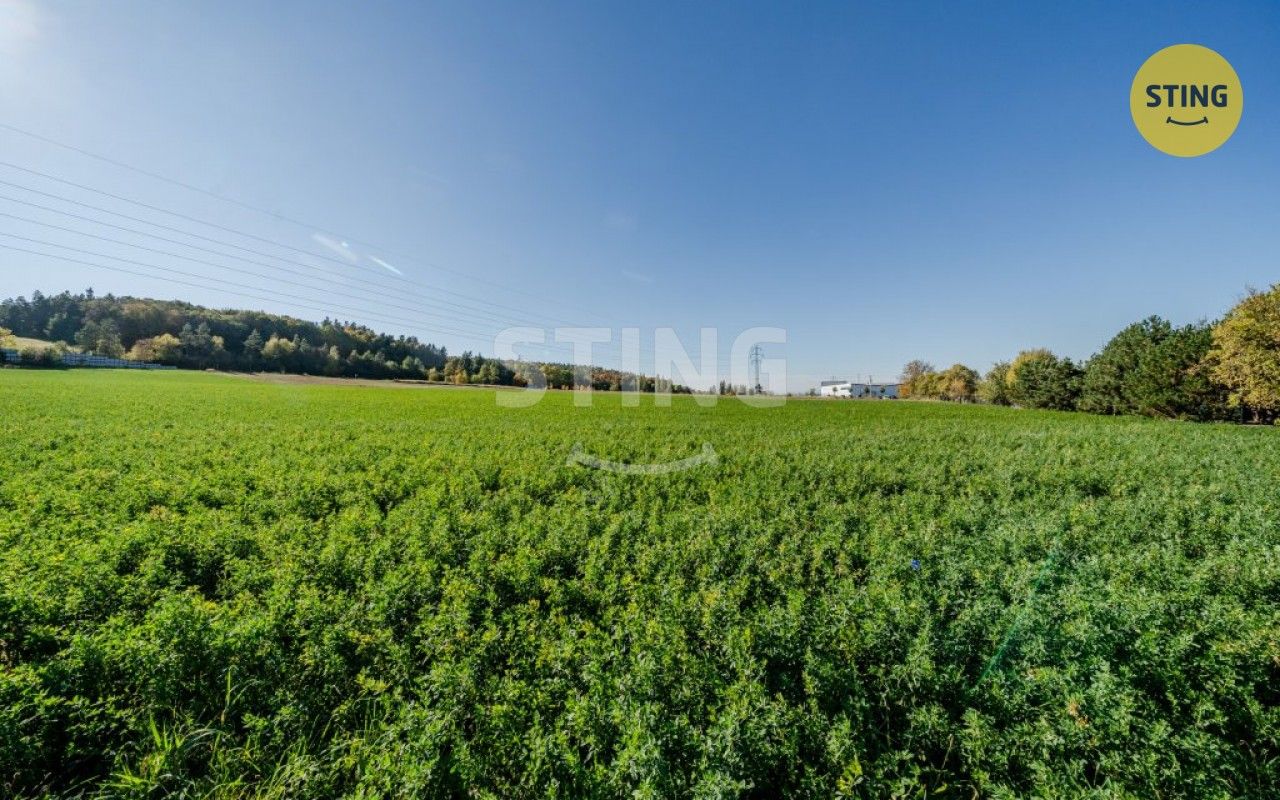 Prodej pozemku 4000 m² - foto 3