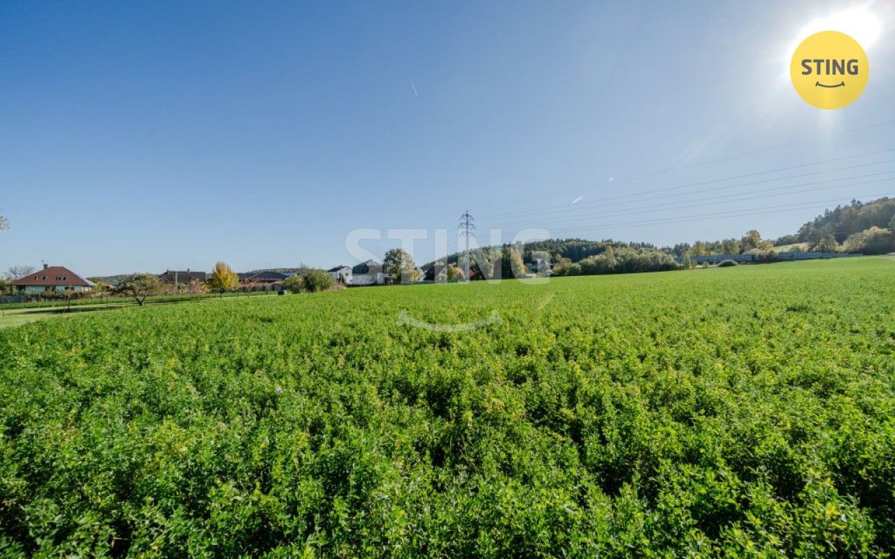 Prodej pozemku 4000 m² - foto 12