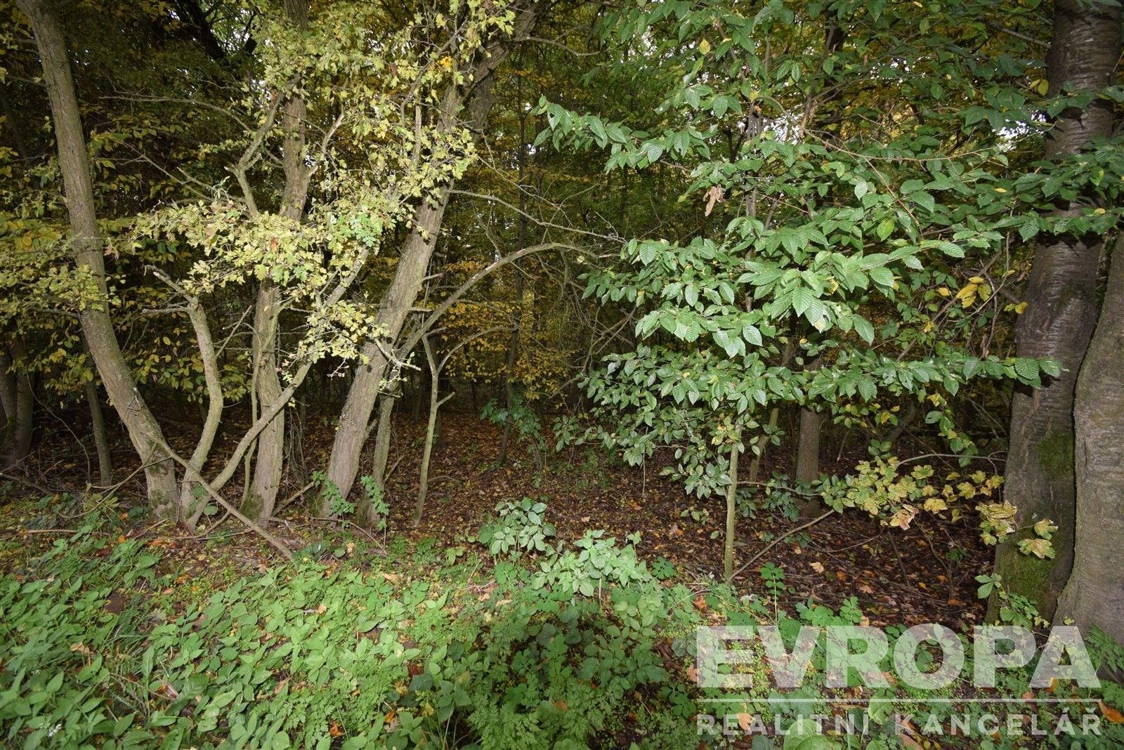 Prodej domu 71 m² - foto 22