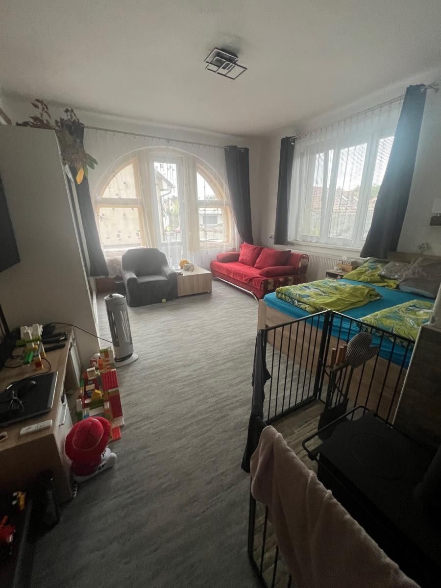 Prodej domu 500 m² - foto 4