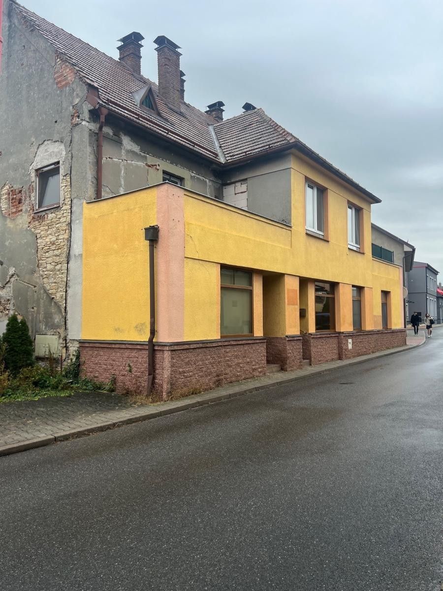 Prodej domu 500 m² - foto 1