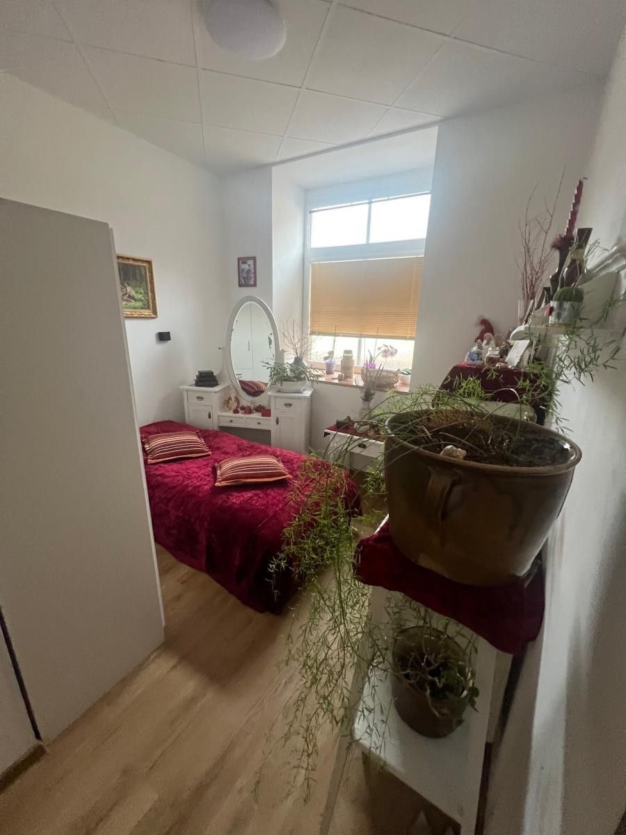 Prodej domu 500 m² - foto 16