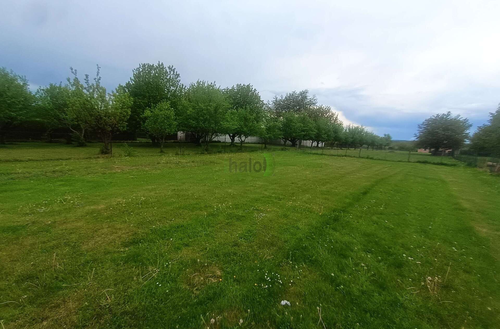 Prodej pozemku 2386 m² - foto 5