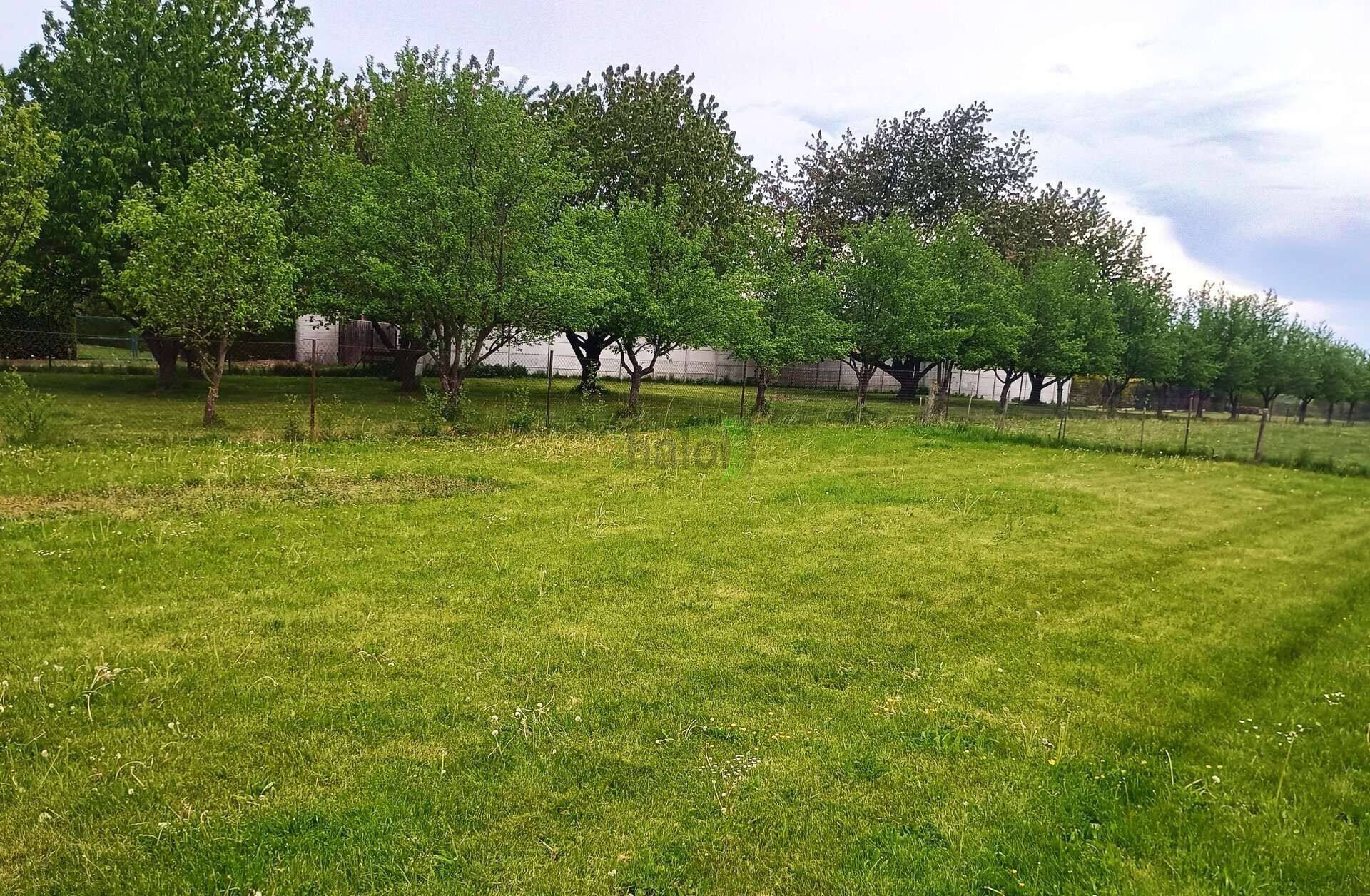 Prodej pozemku 2386 m² - foto 4