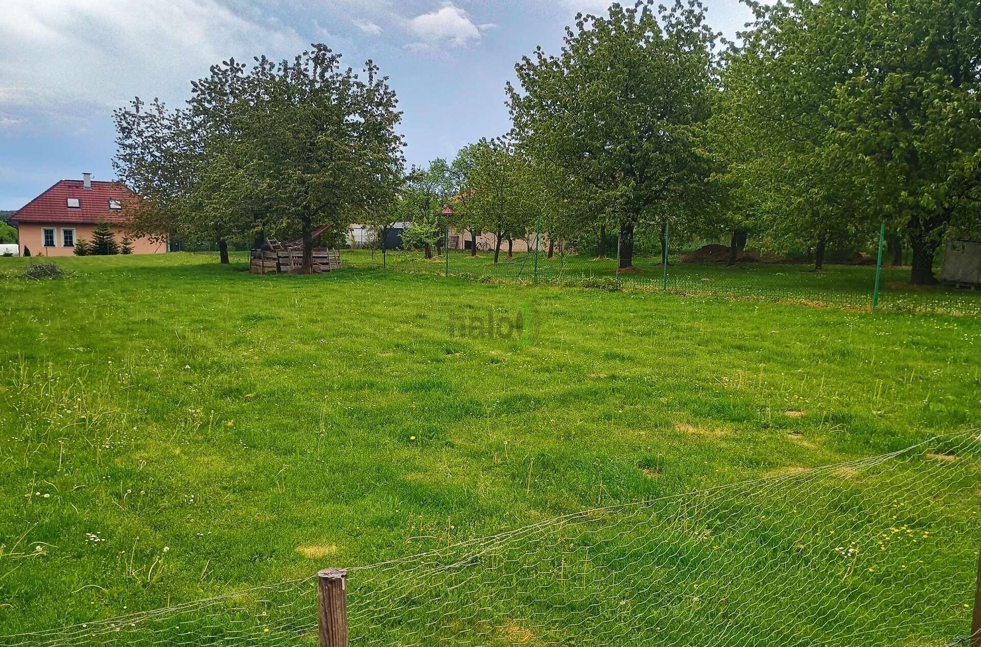 Prodej pozemku 2386 m² - foto 6