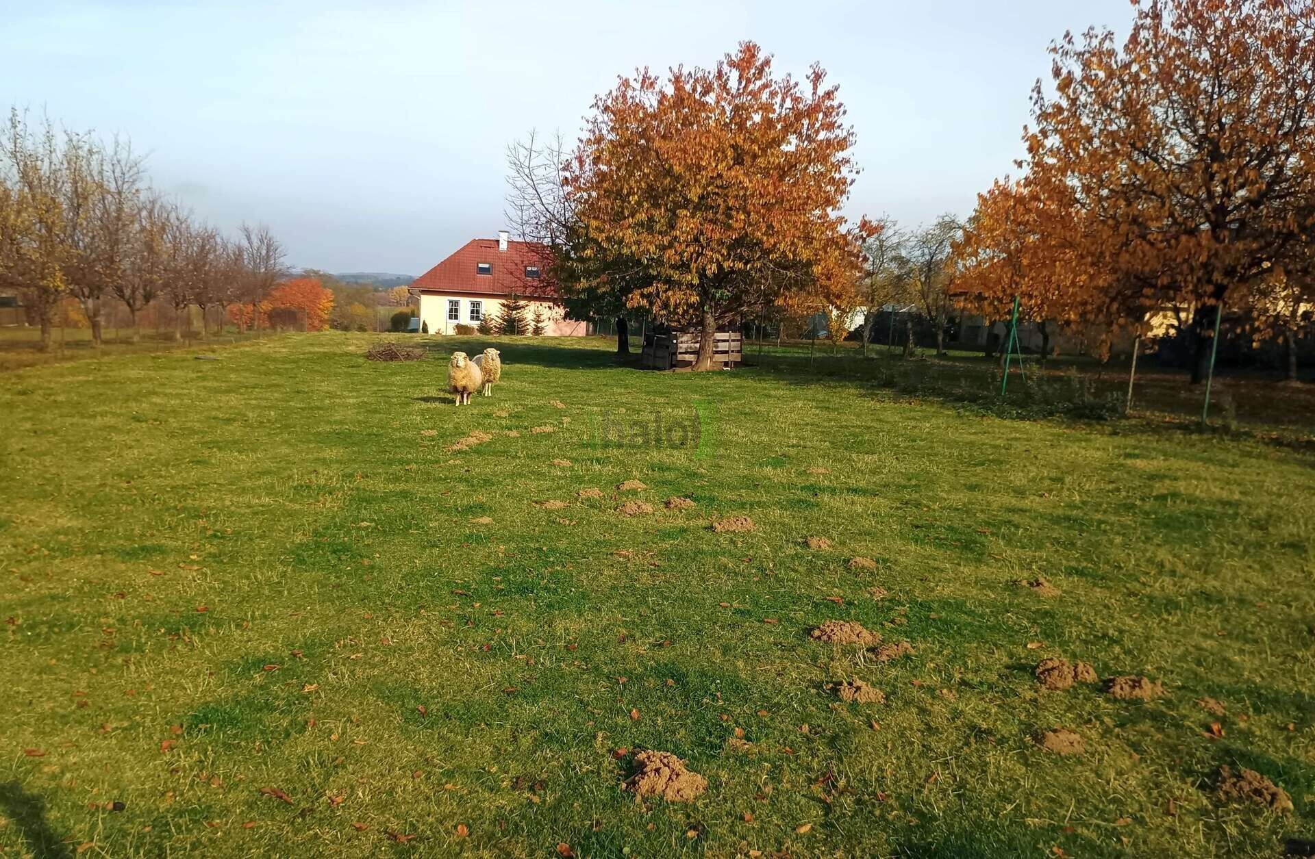 Prodej pozemku 2386 m² - foto 16