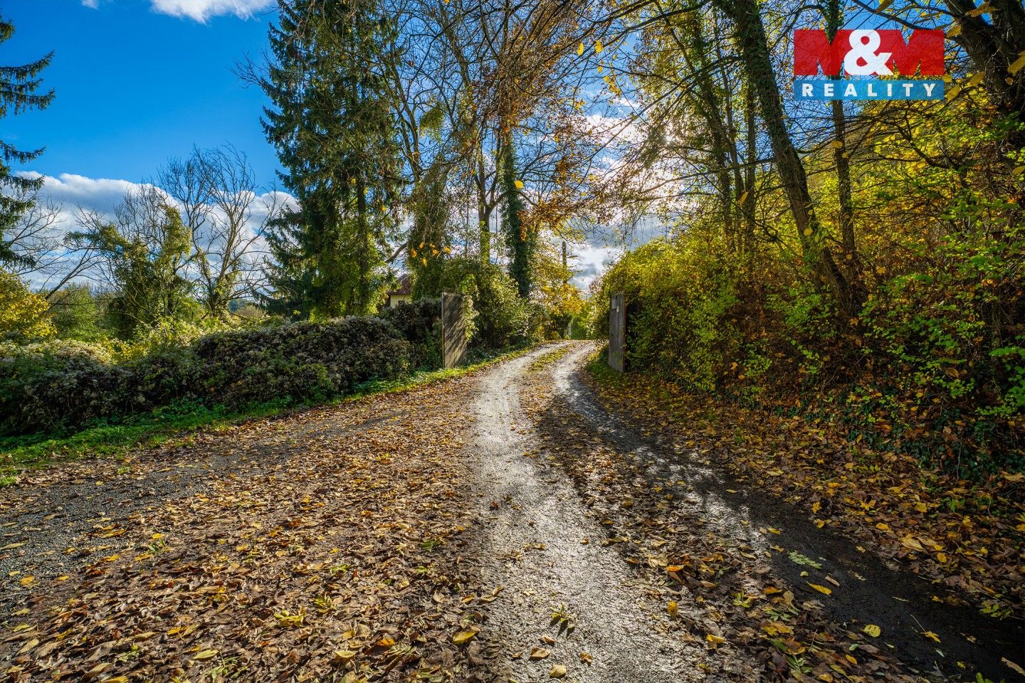 Prodej nemovitosti 700 m² - foto 26
