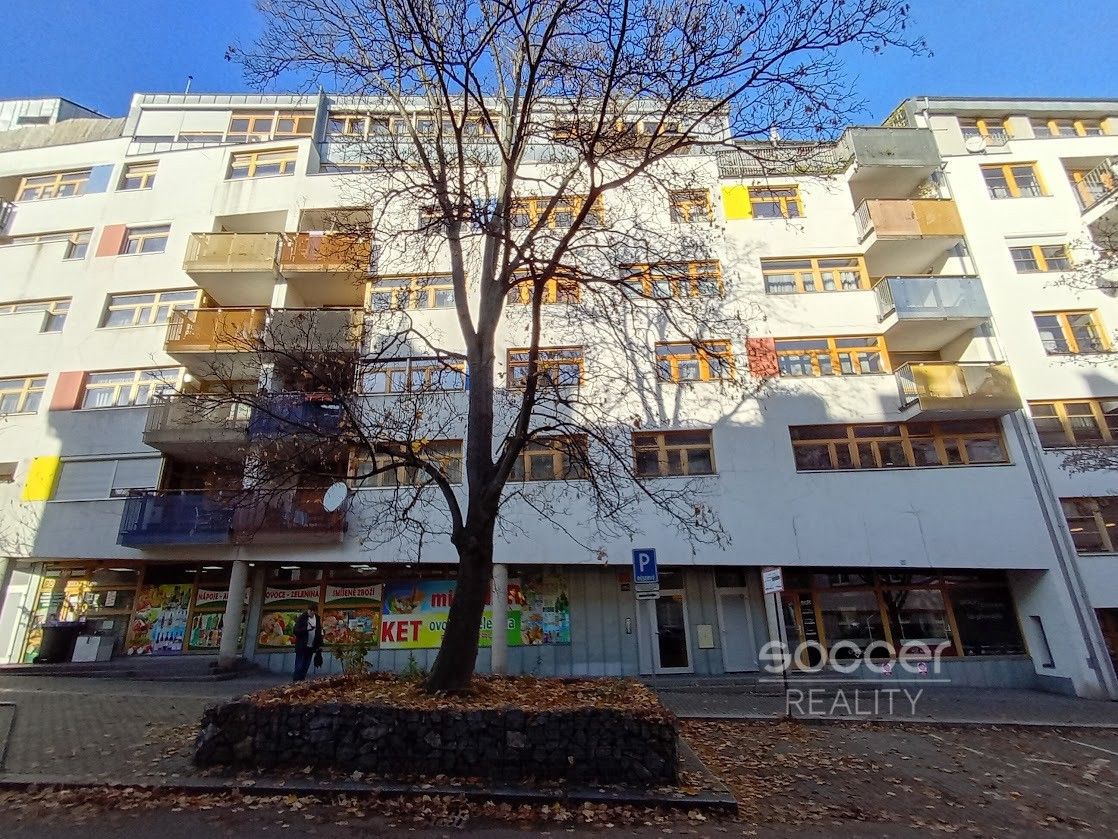 Pronájem bytu 4+kk 107 m² - foto 3