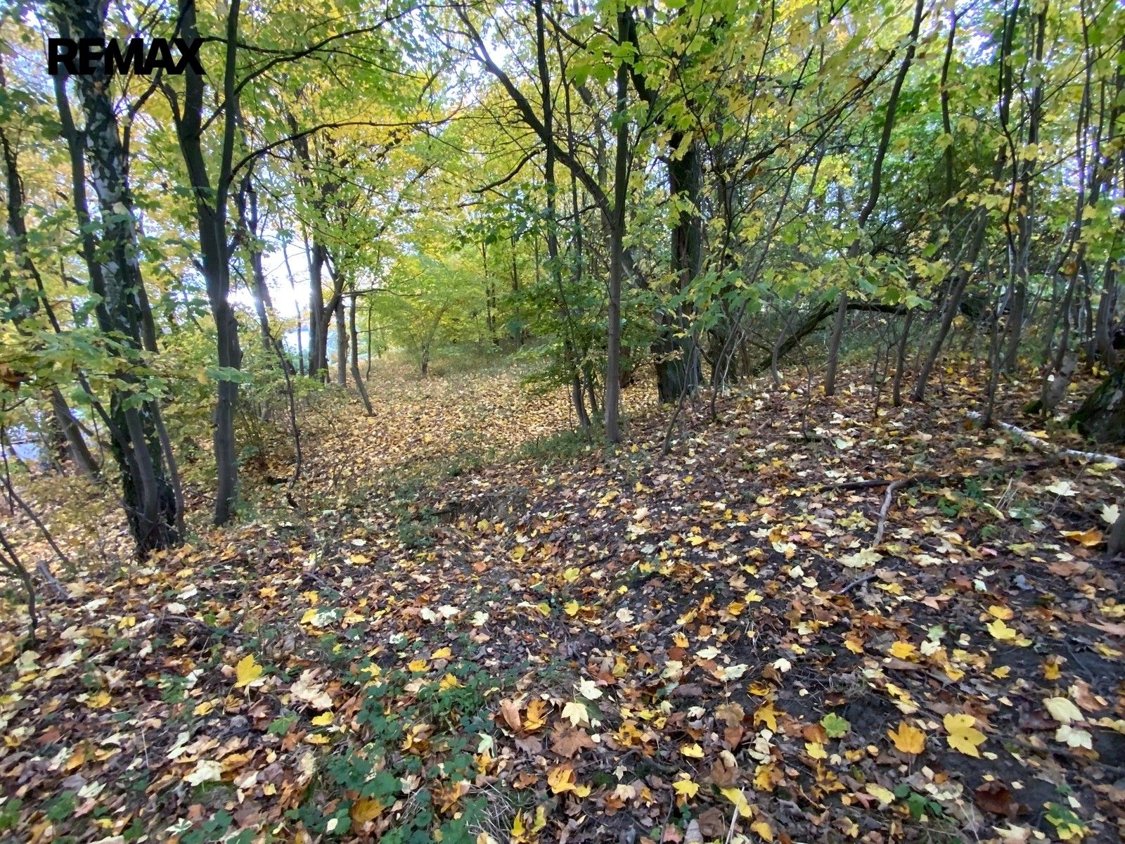 Prodej nemovitosti 2385 m² - foto 4