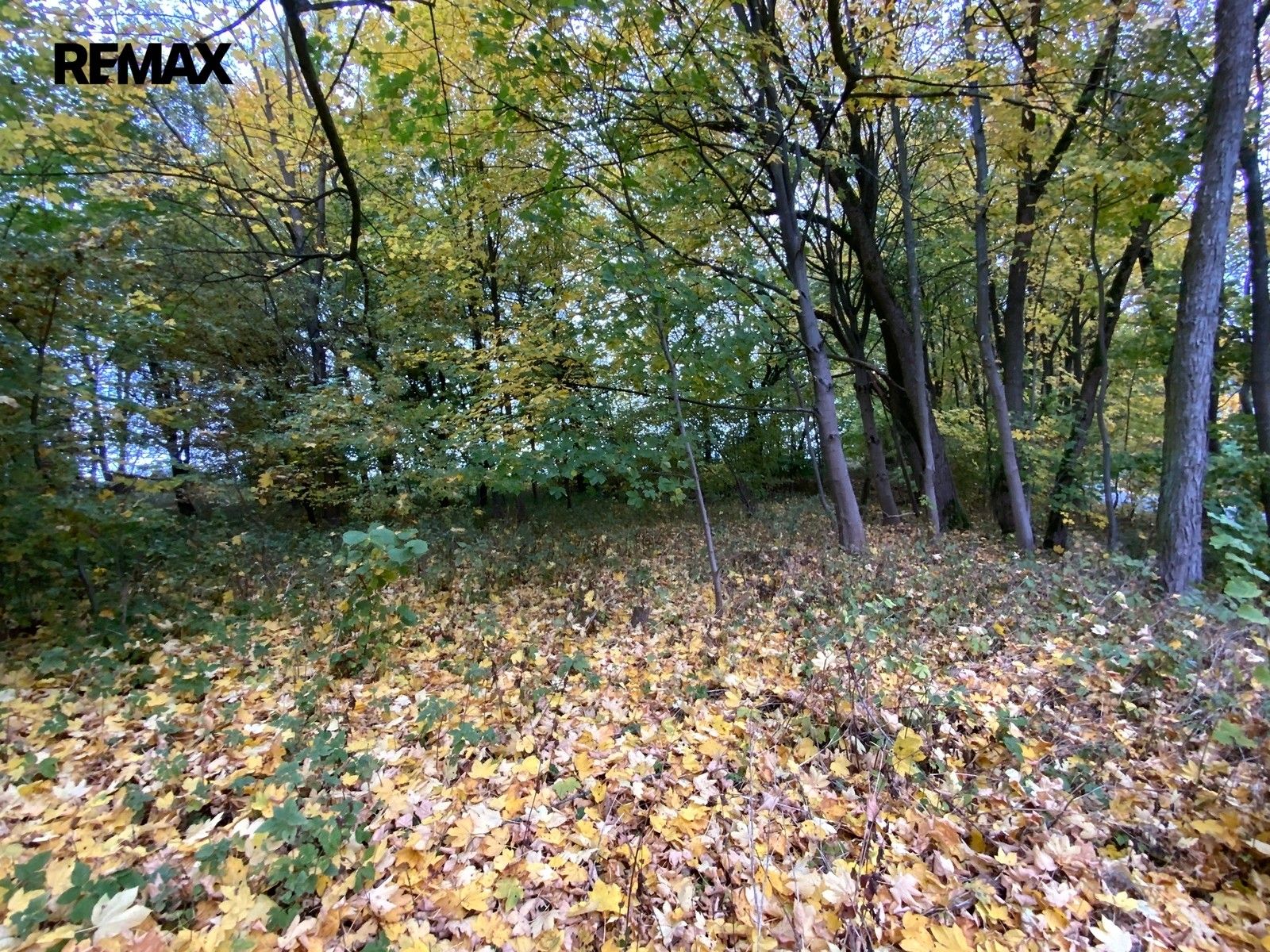 Prodej nemovitosti 2385 m² - foto 5