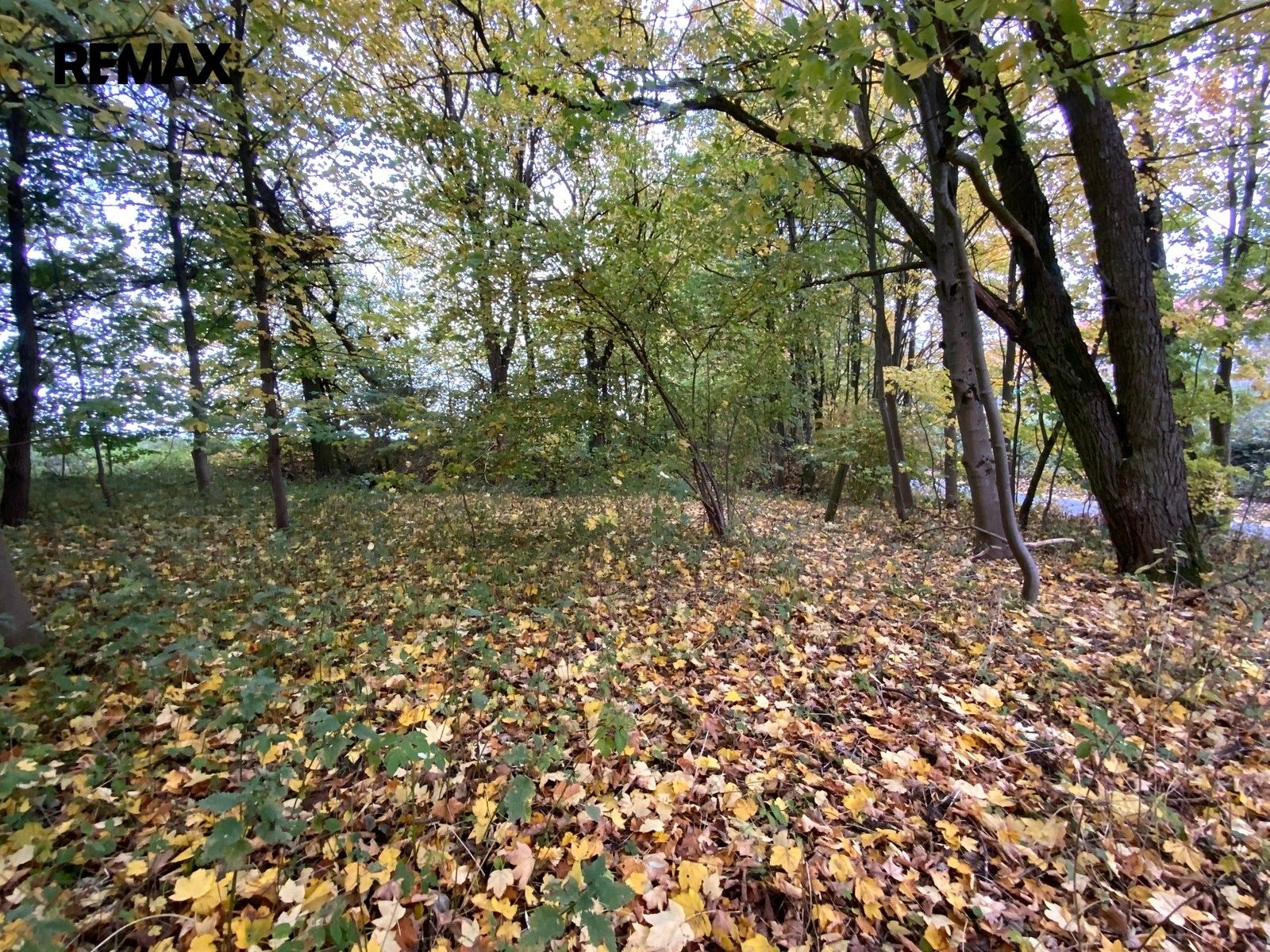 Prodej nemovitosti 2385 m² - foto 6